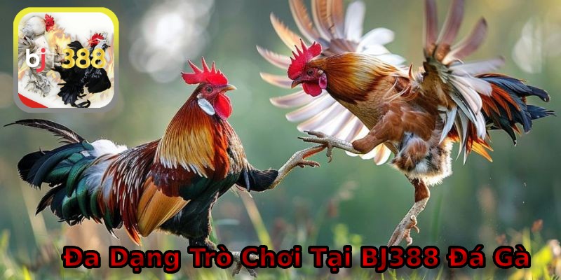 Đa dạng thể loại game cá cược trực tuyến tại biodqc.org