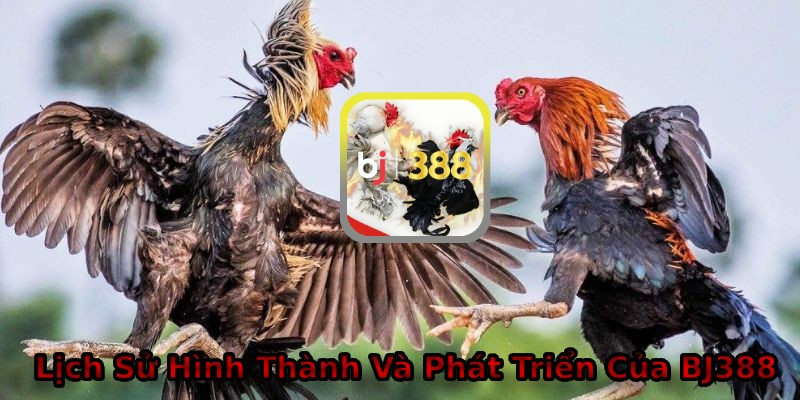 Lịch sử hình thành và sứ mệnh phát triển của BJ388