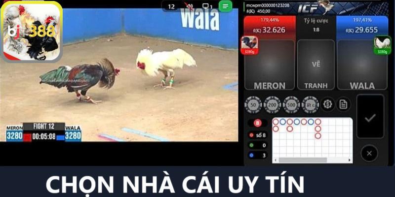 Lựa chọn nhà cái uy tín để tham gia