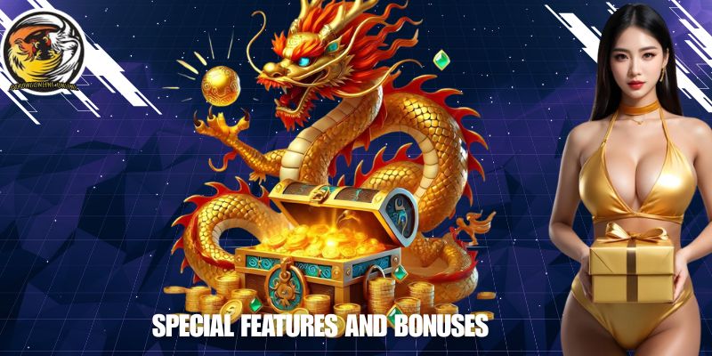 Special Features and Bonuses