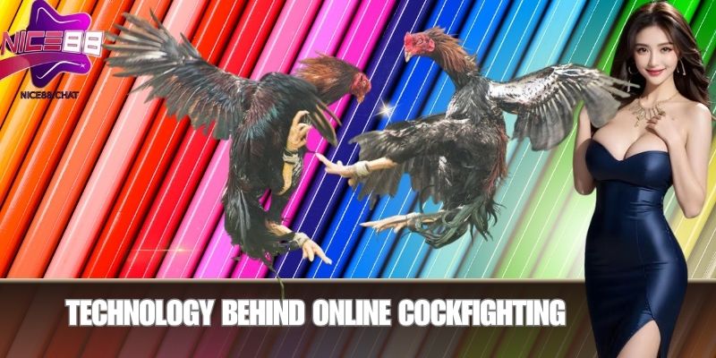 Technology Behind Online Cockfighting
