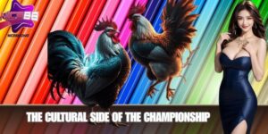 The Cultural Side of the Championship