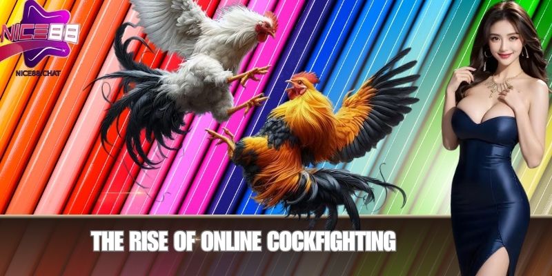 The Rise of Online Cockfighting