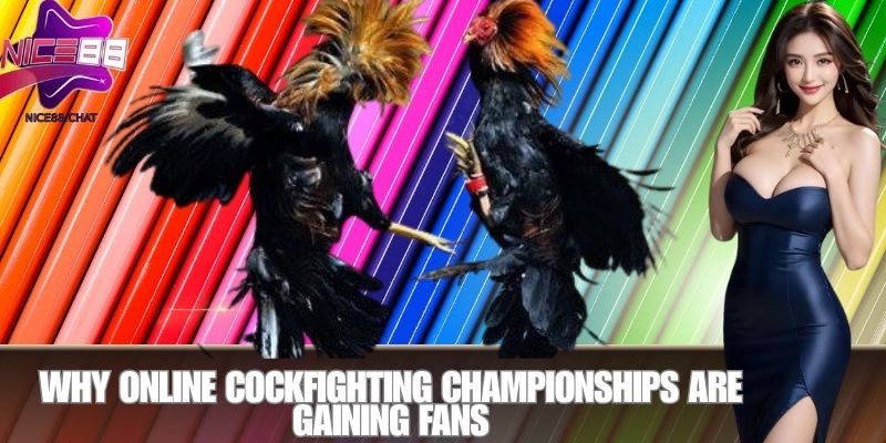 Why Online Cockfighting Championships Are Gaining Fans