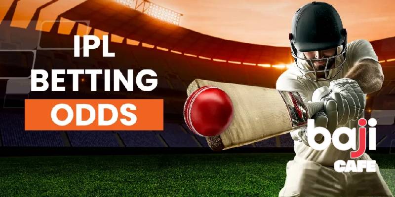 The 5 Best Options on Baji Live Bangladesh
